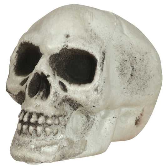 Sac de 6 Sinistres Crânes