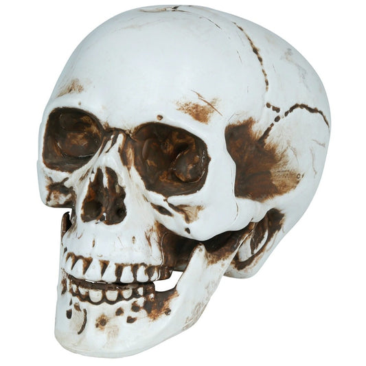 Crâne Halloween