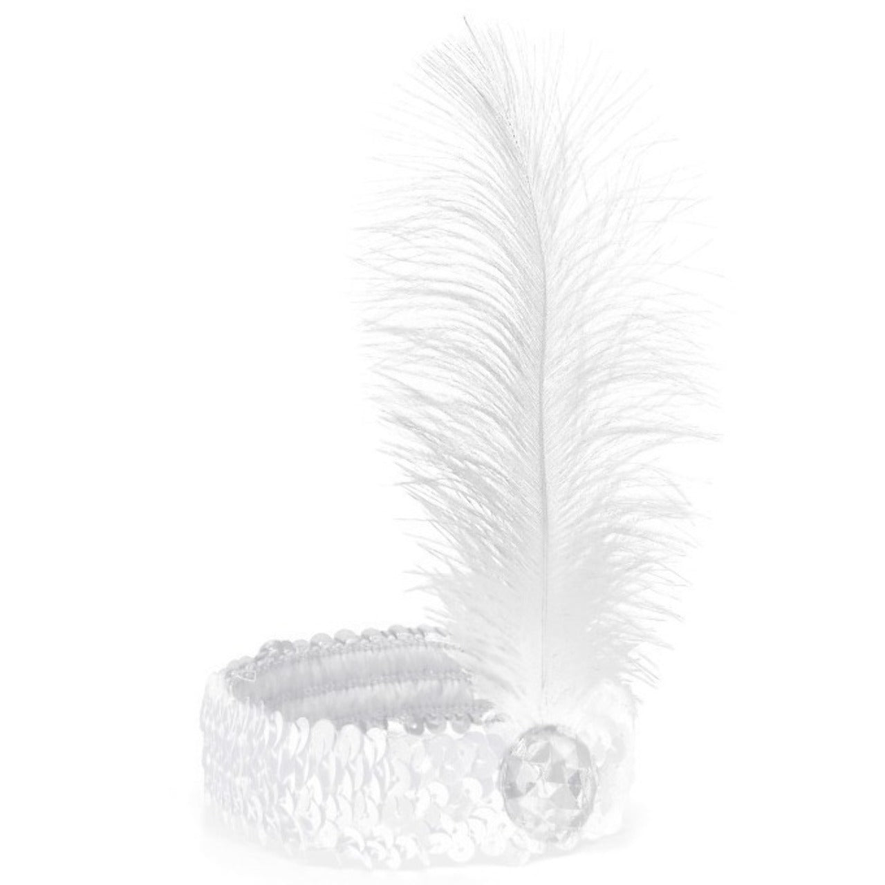 Ruban Charleston Blanc Eco