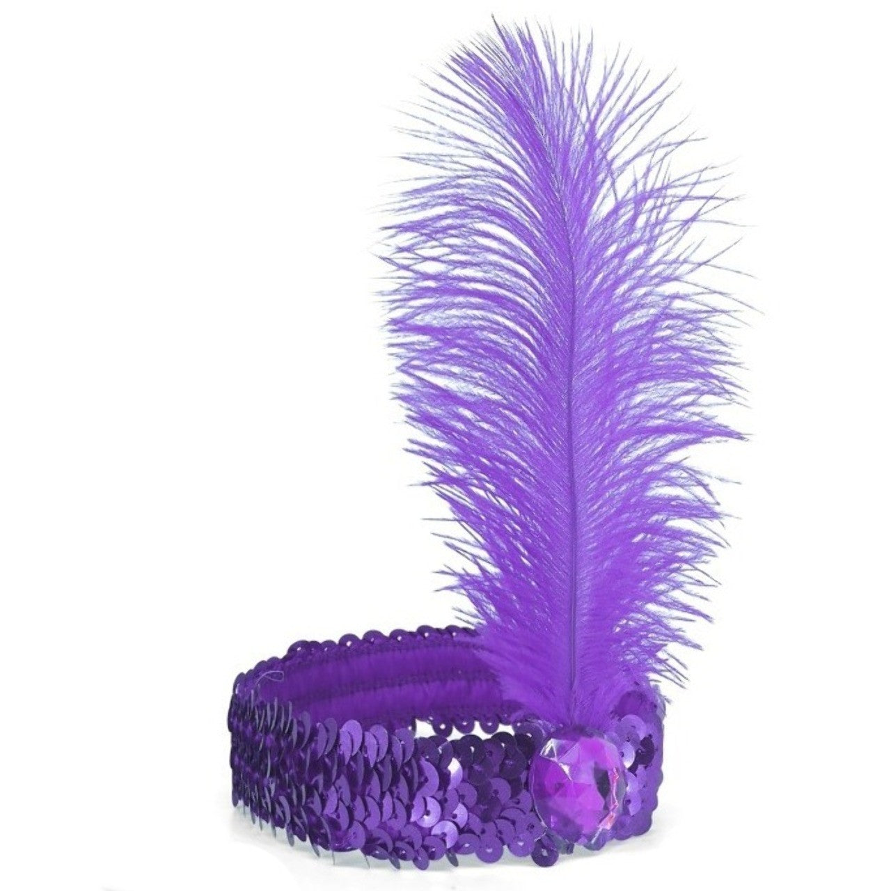 Ruban Eco Charleston Lila