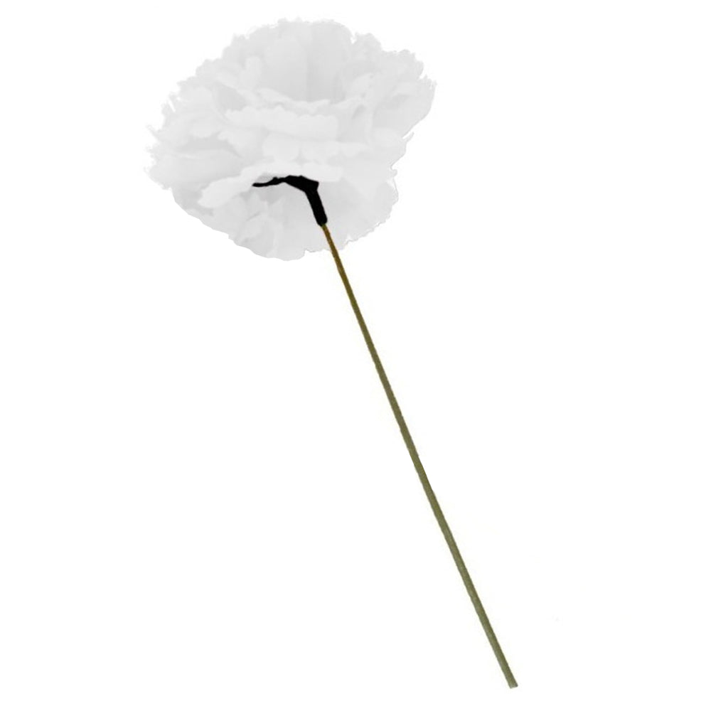 Œillet blanc avec bâton