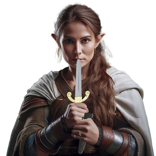 Dague Médiévale avec Étui