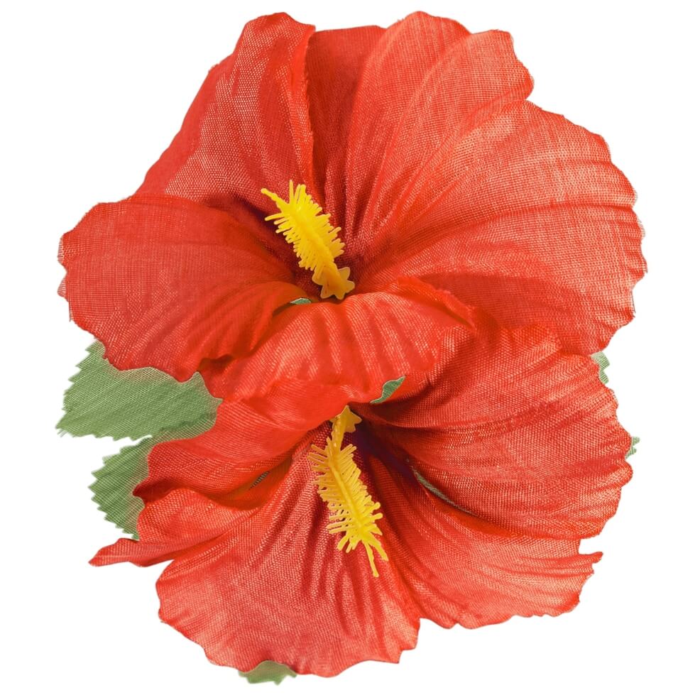 Fleur Hawaïenne