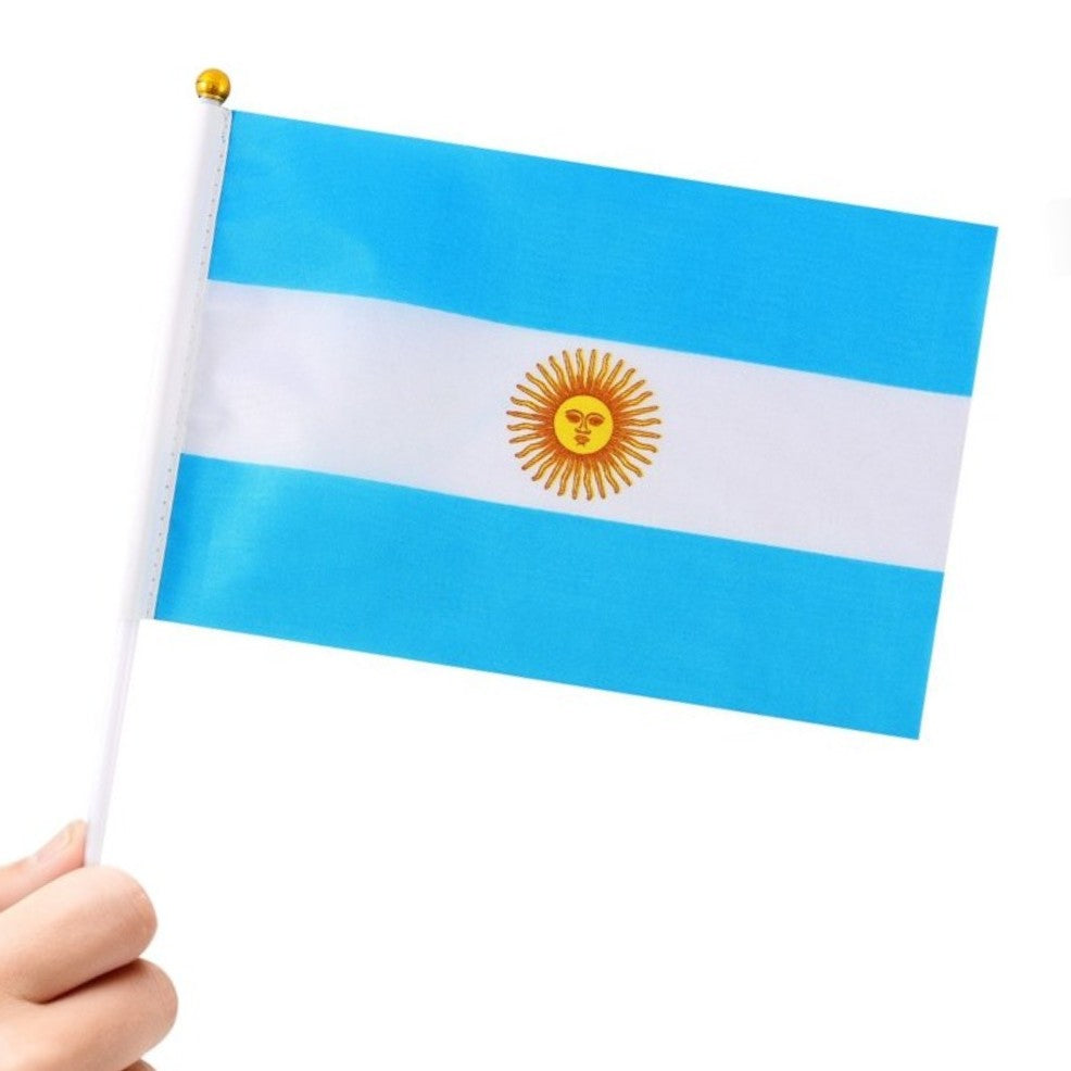 Pack de 24 fanions d'Argentine 20x30cm