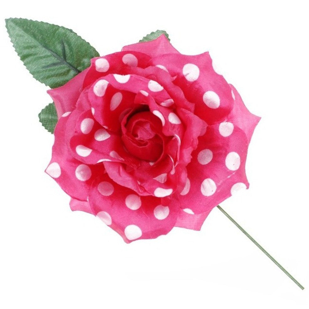 Rose Fuschsia et Blanche de Flamenca