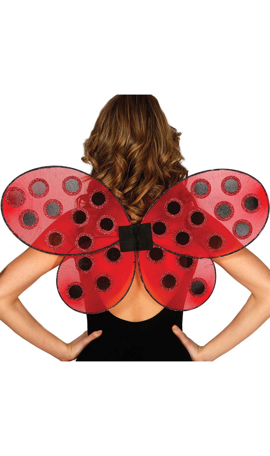 Ailes Coccinelle Costumalia by Monsieur Deguisement