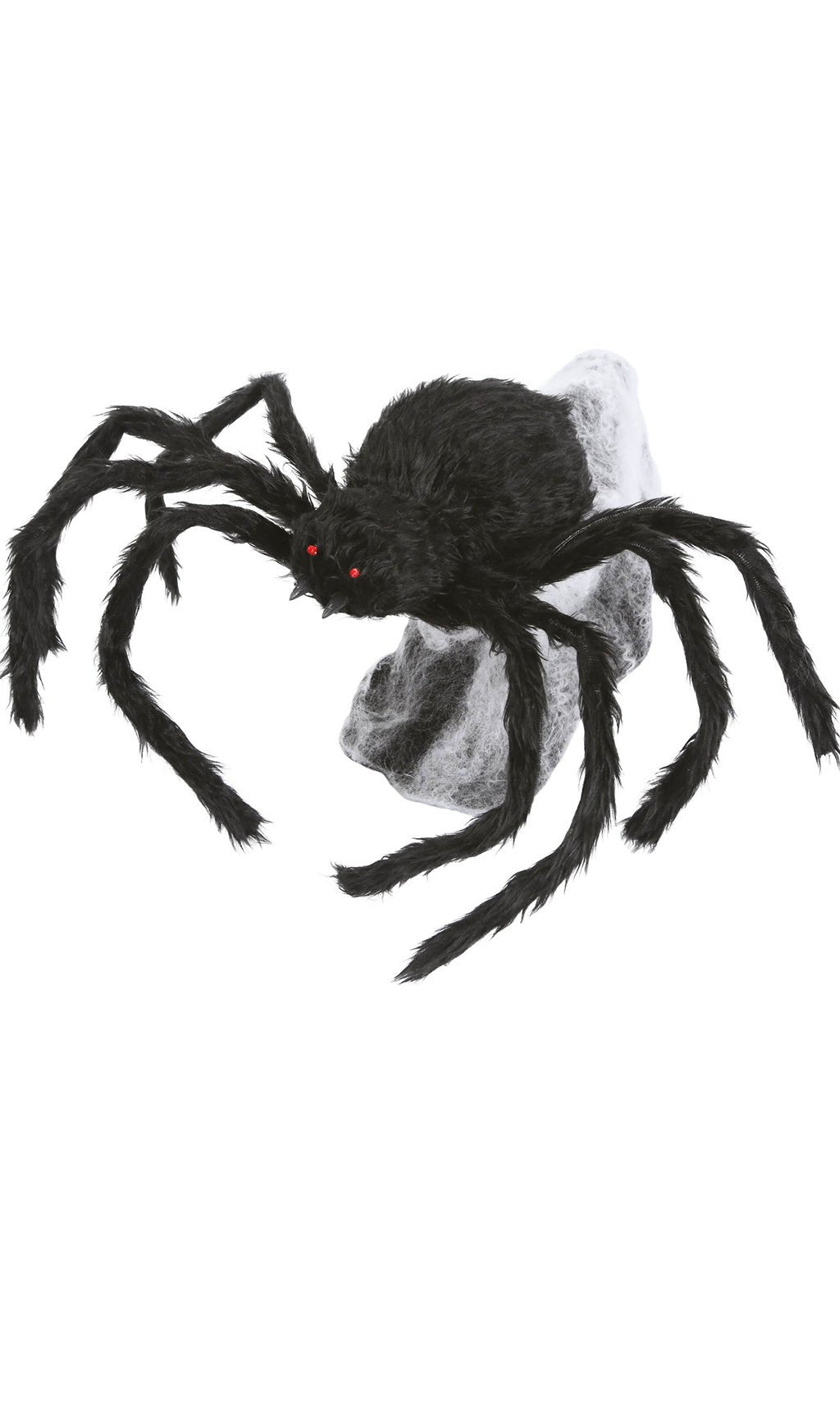 Araignée Noire
