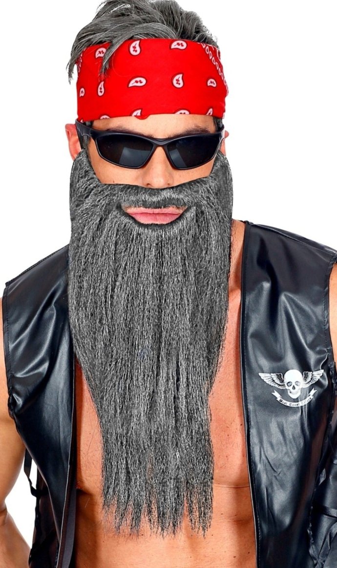 Barbe Grise Longue avec Moustache