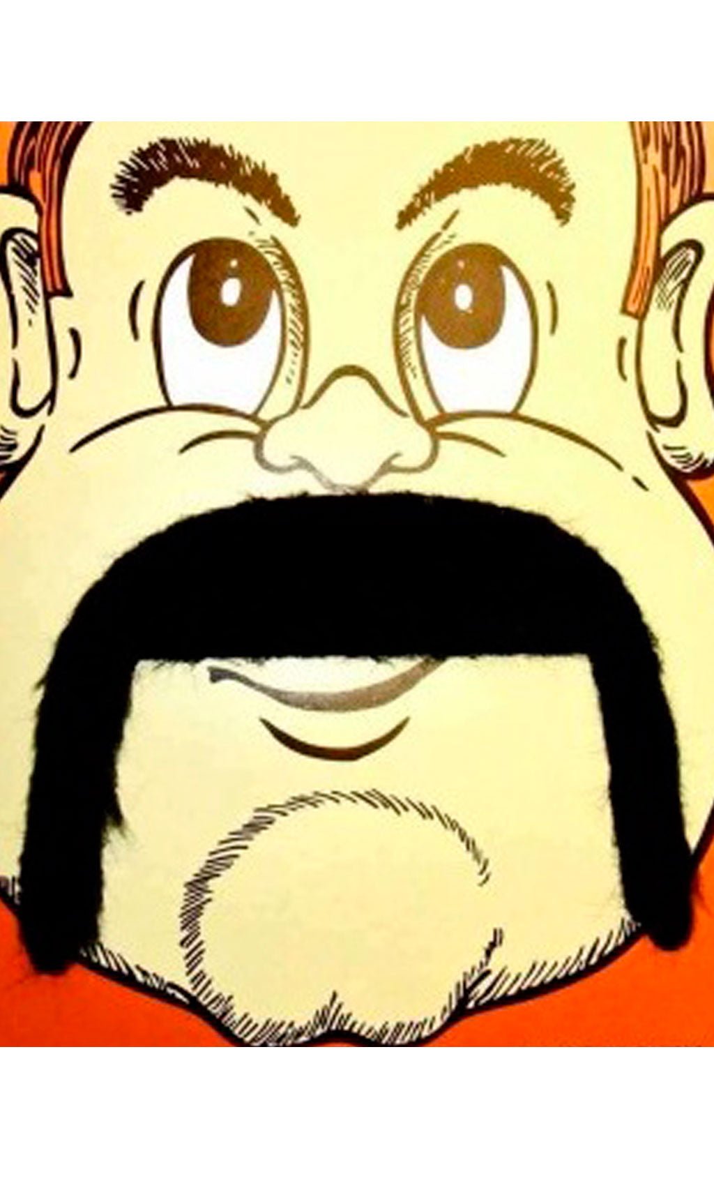 Moustache de Chinois Éco