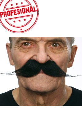 Moustache Noire Professionnelle 012-LH