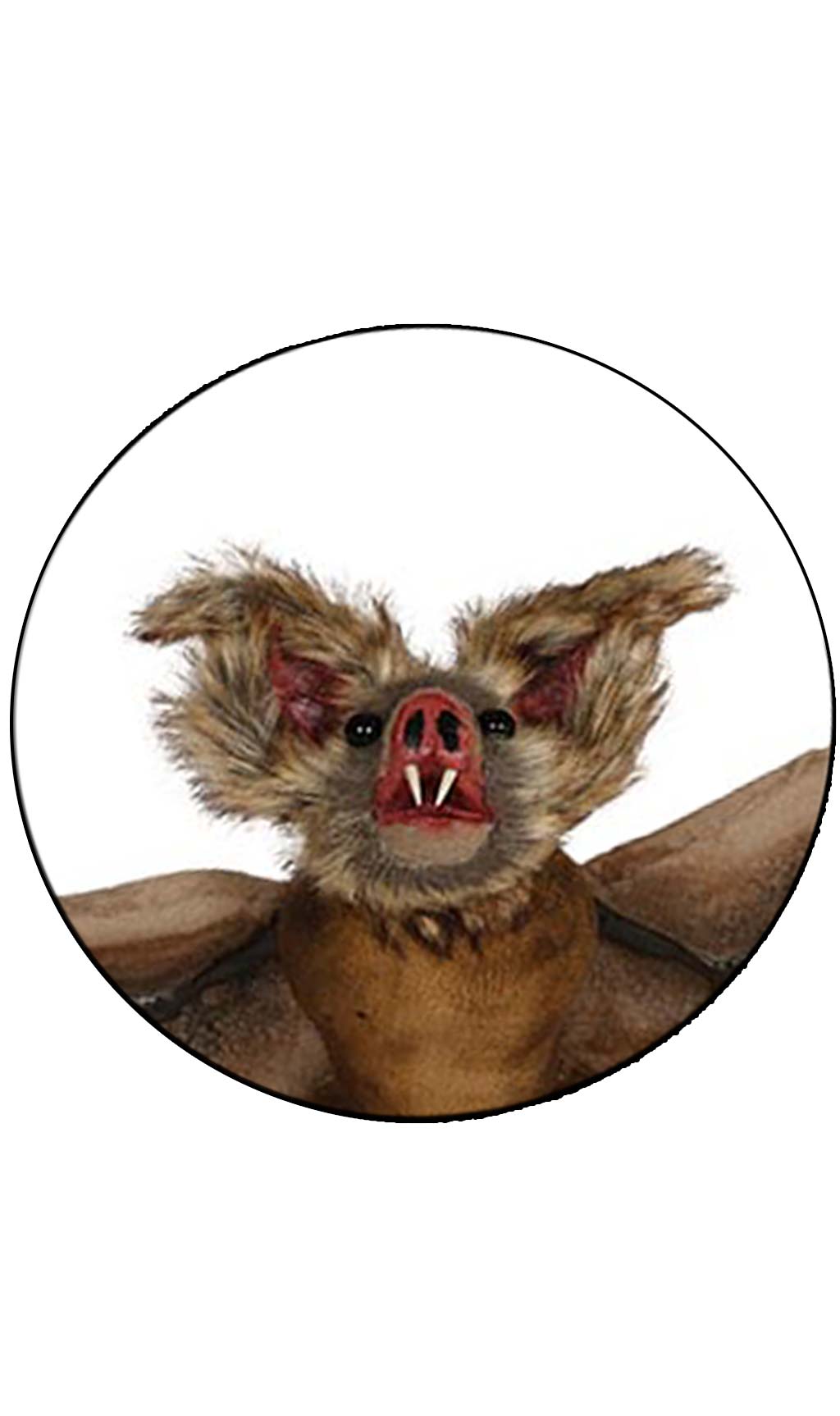 Décoration à Suspendre Chauve-Souris Marron