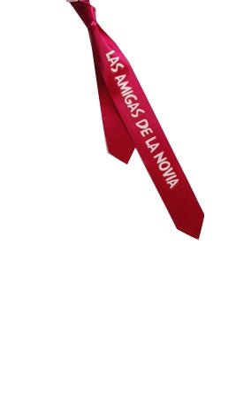 Cravate "Les amies de la fiancée"