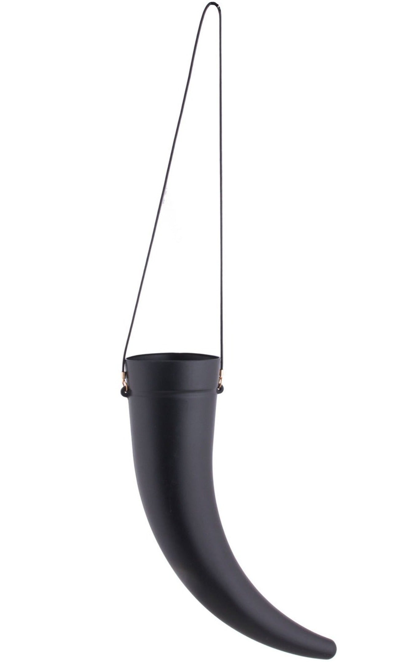 Corne Viking pour Boire