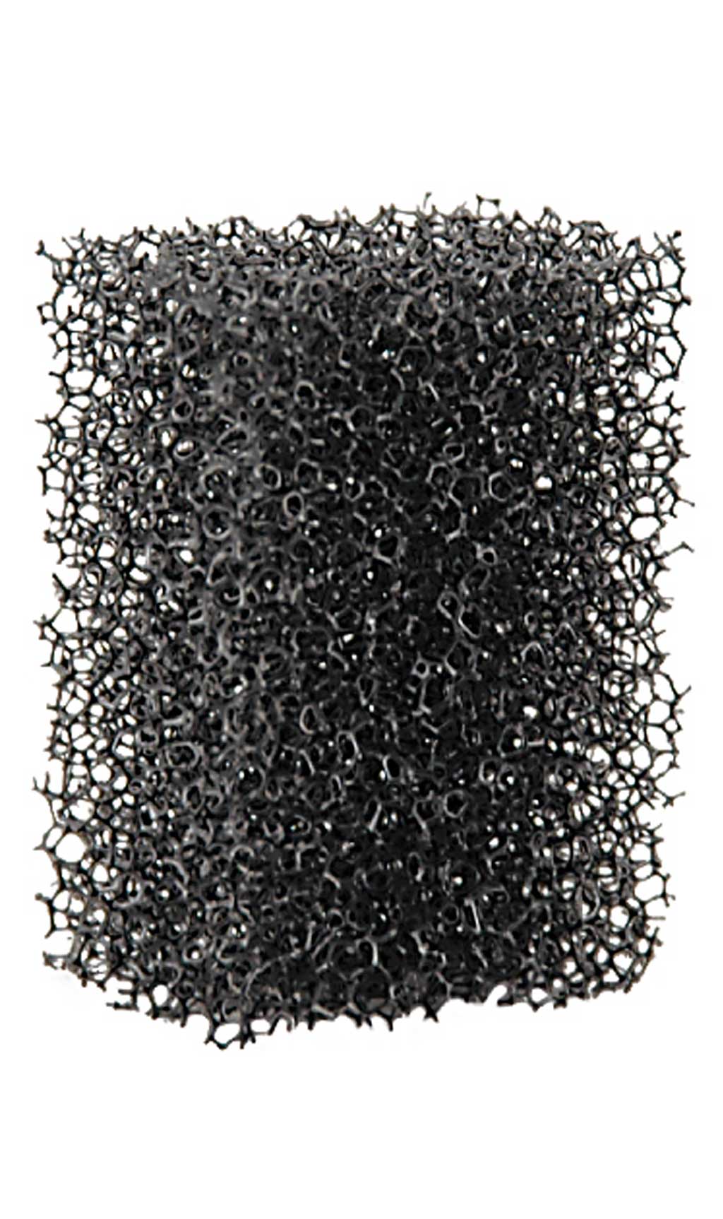 Éponge Barbe Fine Professionnelle