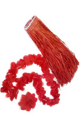 Déguisement Kit Hawaïenne