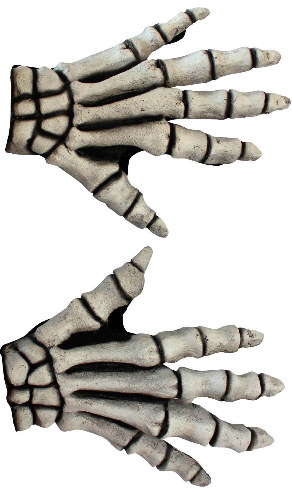 Mains Squelette Courtes