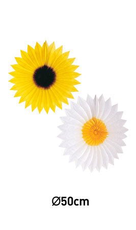 Set Rosace Fleurs