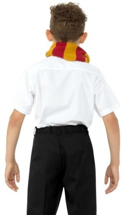 Kit de Magicien Harry pour enfant