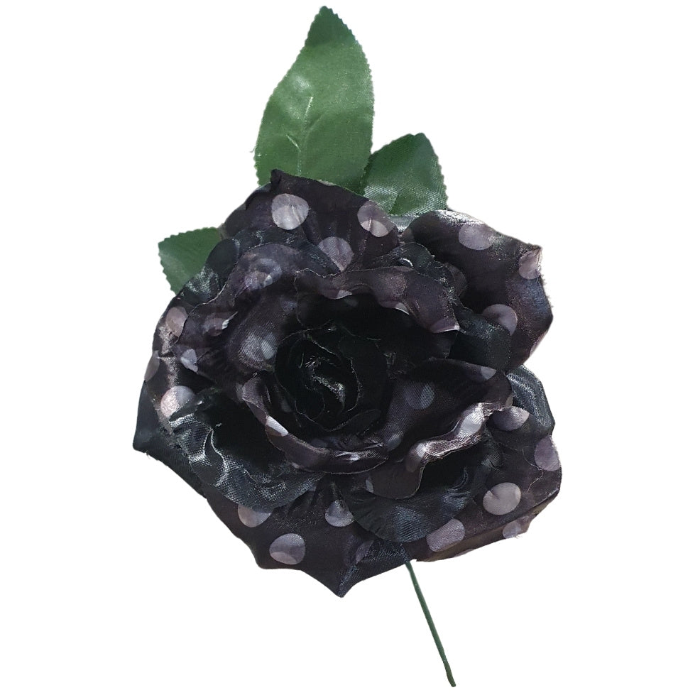 Rose Noire et Blanche de Flamenca 