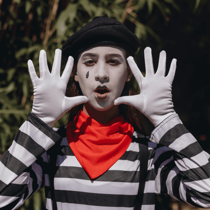 Disfraz mimo