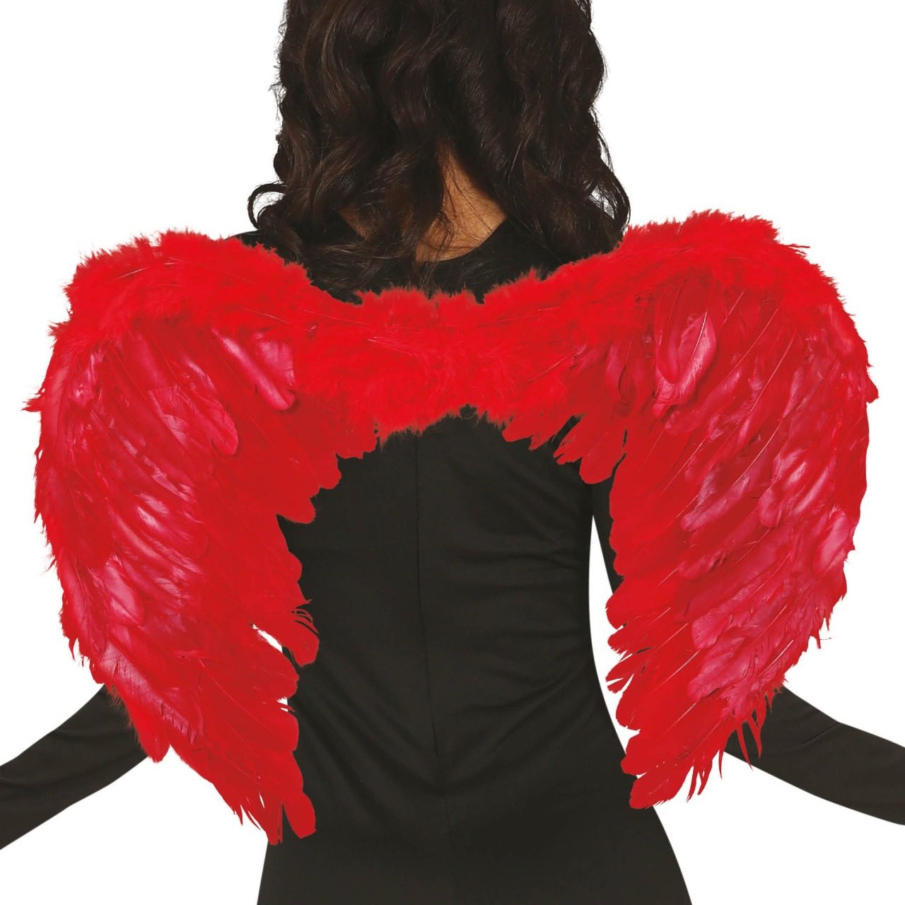 Ailes Rouges Coeur