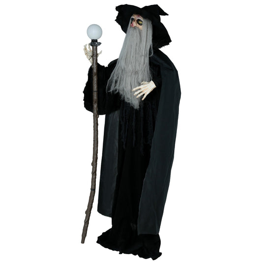 Sorcier Sinistre 