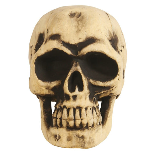 Grande Crâne en Mousse