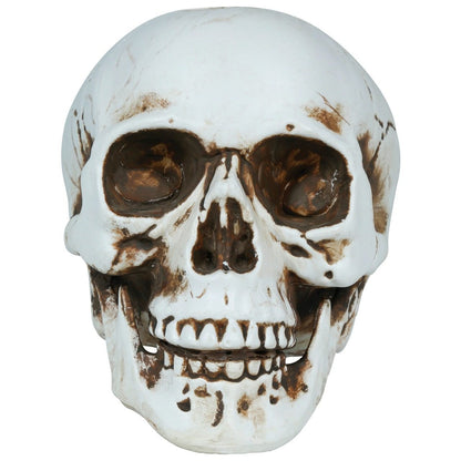 Crâne Halloween 