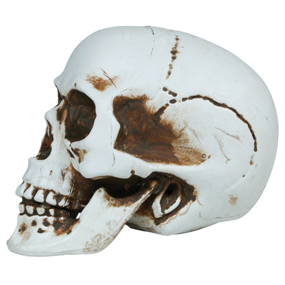 Crâne Halloween 