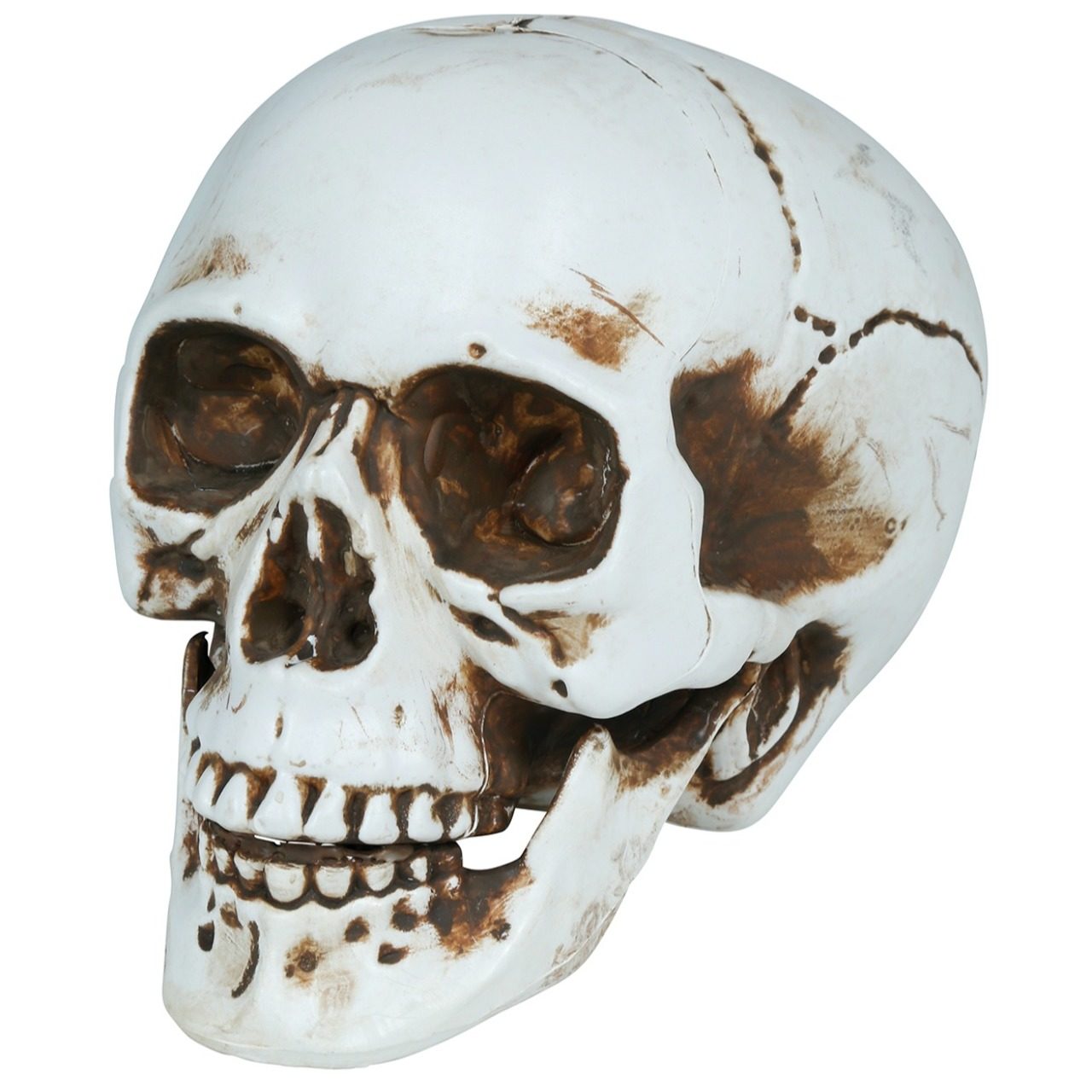Crâne Halloween 