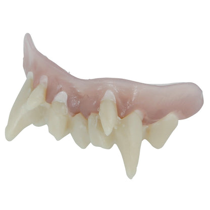Dentier Vampire avec Thermoplastique