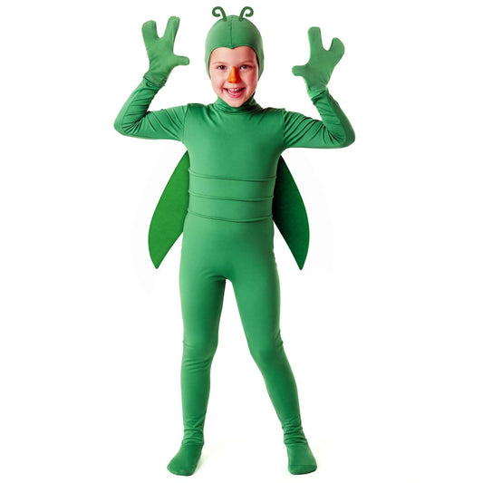 Déguisement Insecte Vert enfant
