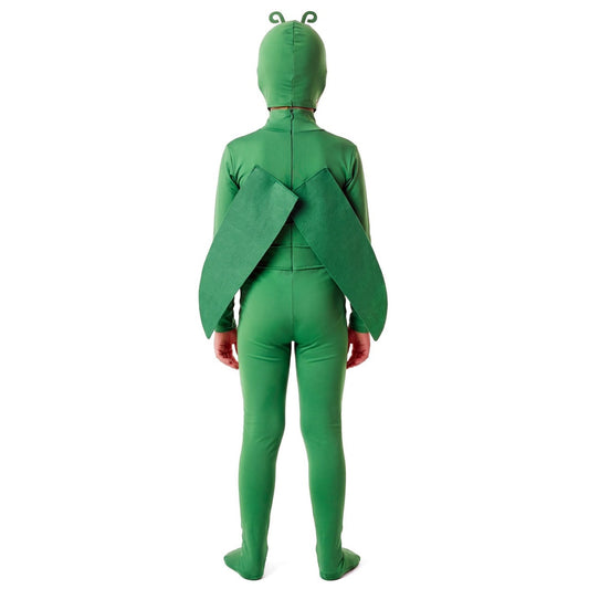 Déguisement Insecte Vert enfant