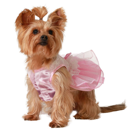 Déguisement de Princesse rose pour chien