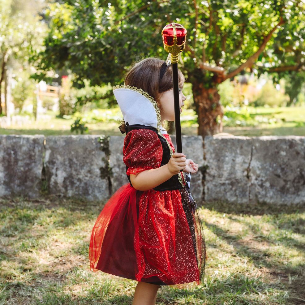 Disfraz reina corazones bebé