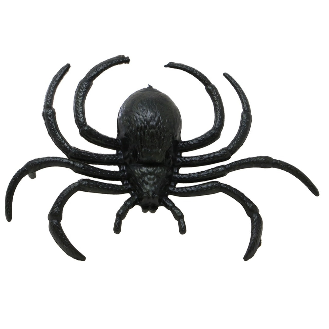 Pack 12 Araignées Noires