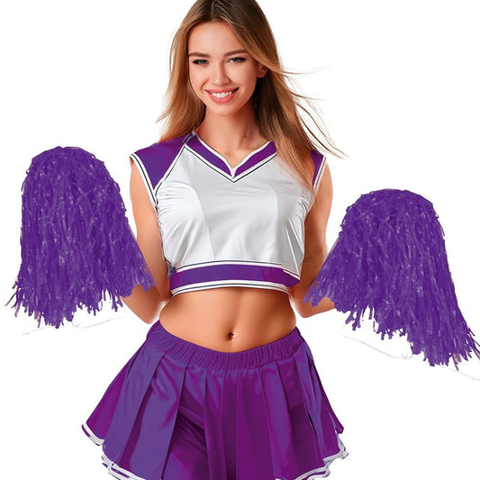 Pack de 2 Pompons Violets 80gr