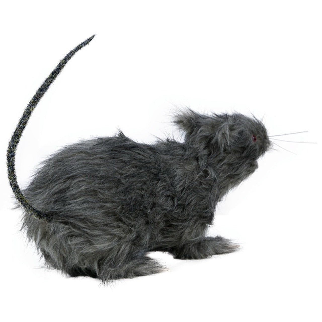 Grand Rat avec Lumière