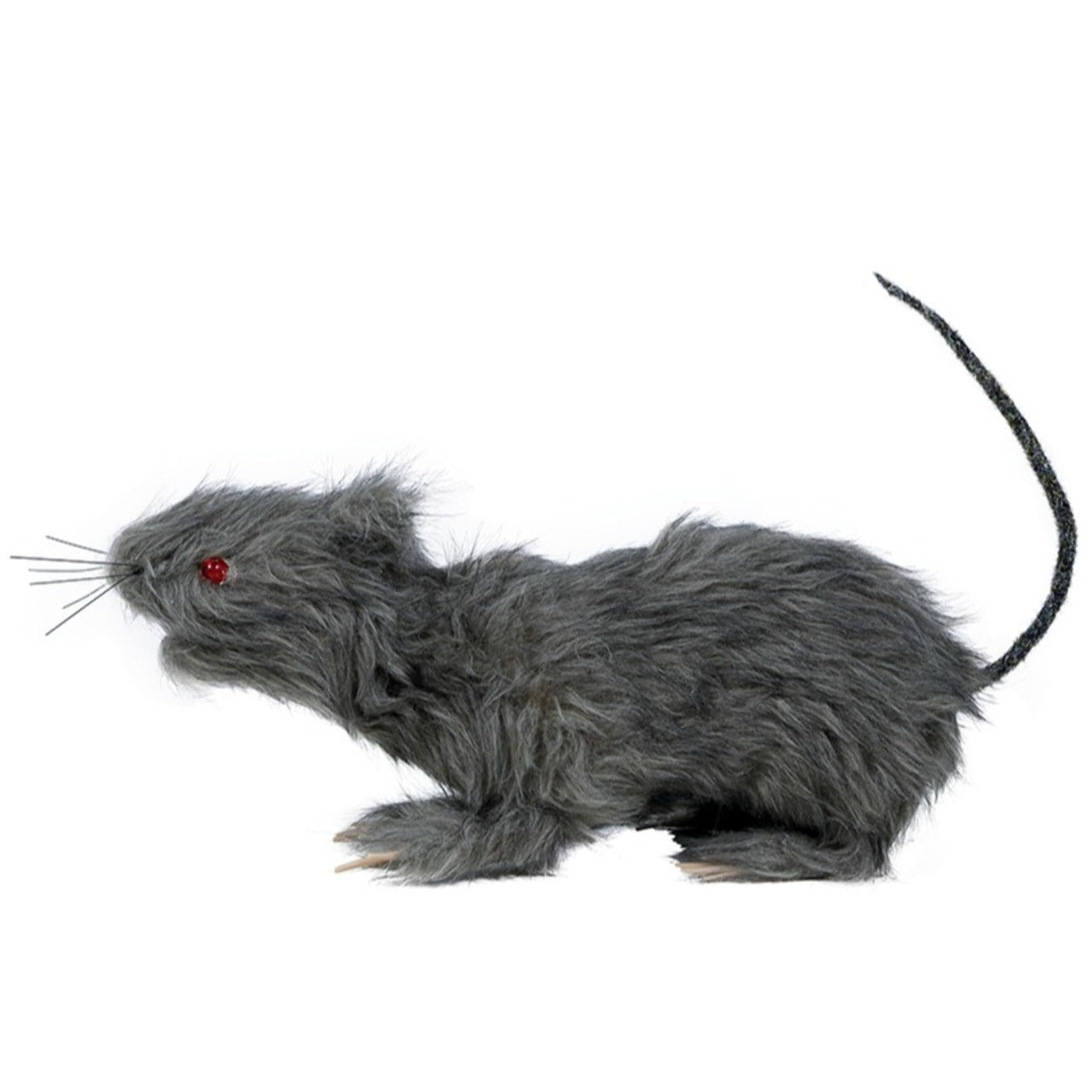 Grand Rat avec Lumière