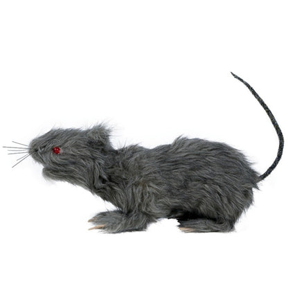 Grand Rat avec Lumière