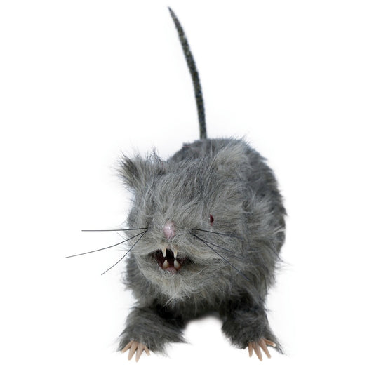 Grand Rat avec Lumière