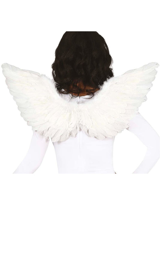Ailes Plumes Blanches eco