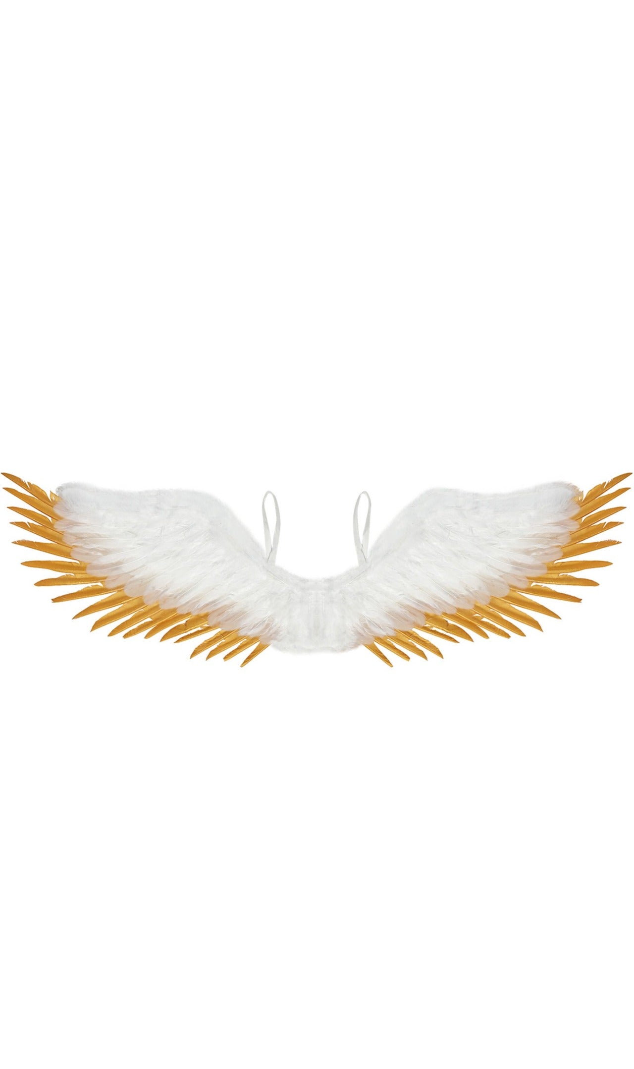 Ailes Blanches et Dorées