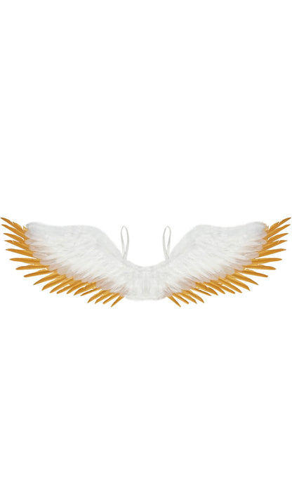 Ailes Blanches et Dorées