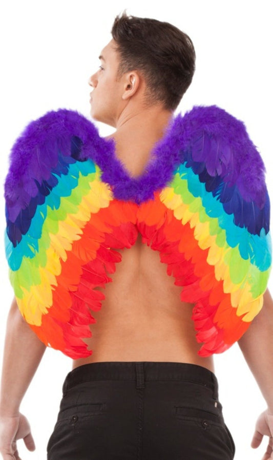 Ailes Coeur Arc-en-Ciel