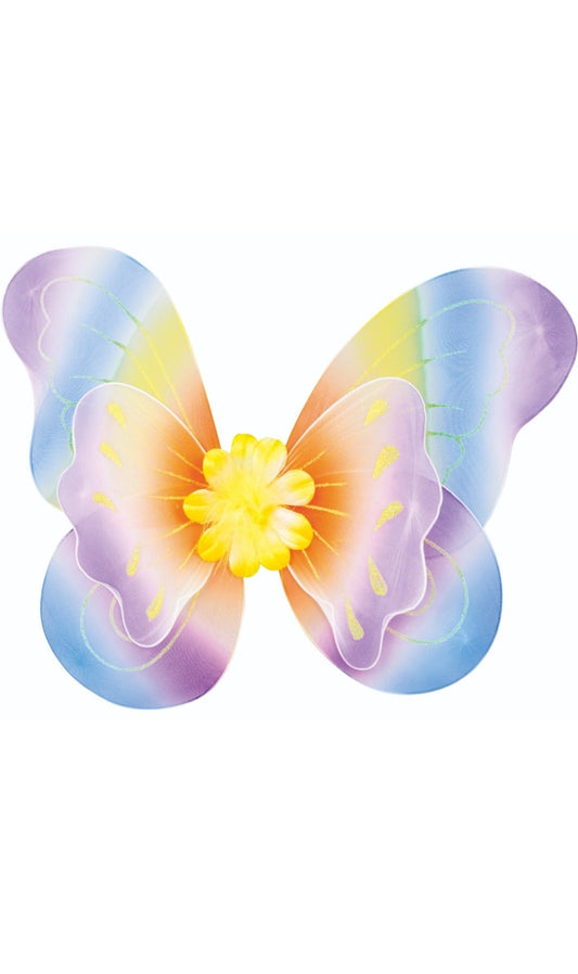Ailes de Papillon Multicolore