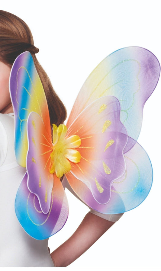 Ailes de Papillon Multicolore