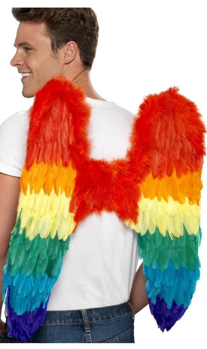 Ailes en Plumes Arc-en-Ciel Luxe