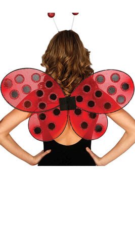 Ailes Coccinelle