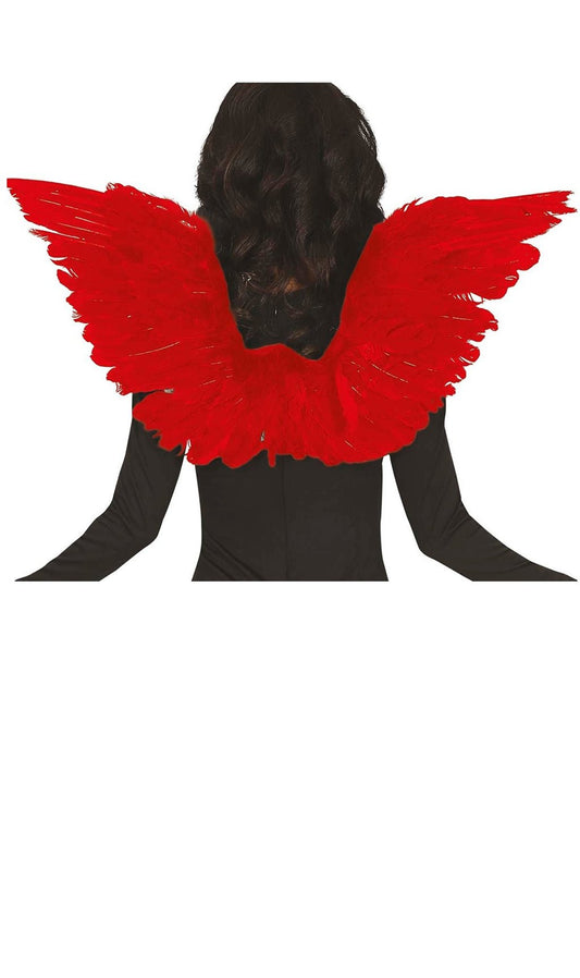 Ailes Plumes Rouges eco